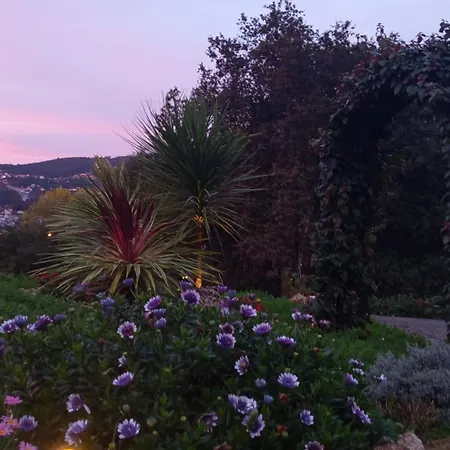 Casa De La Frida - Coqueto En Vigo Apartamento *